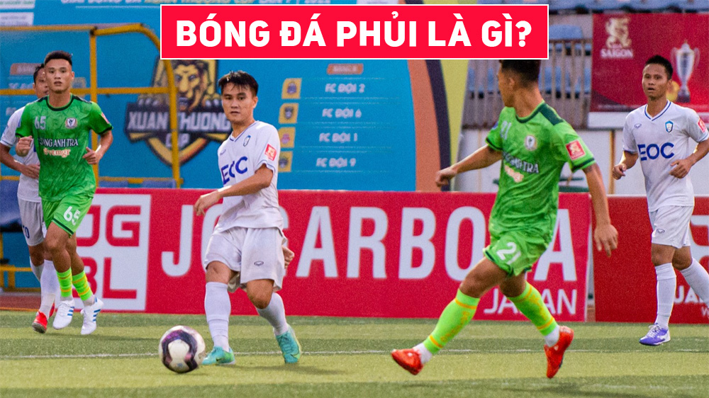 bong-da-phui-la-gi